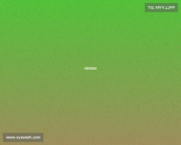 全美公开赛是什么